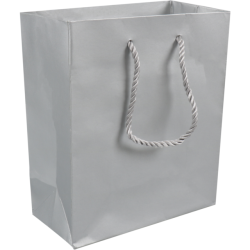 Draagtas zilver met koord 22x10x29cm 25st Draagtas zilver met koord 22x10x29cm 25st