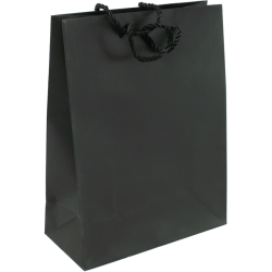 Draagtas zwart met koord 16x8x19cm 100st Draagtas zwart met koord 16x8x19cm 100st