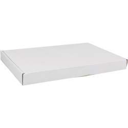 Verzenddoos wit 310x220x28mm 50st Tpk377727 Verzenddoos wit 310x220x28mm 50st Tpk377727