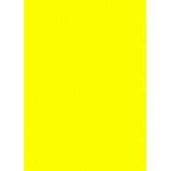 Prijskaart fluor geel 8x12cm 100st Prijskaart fluor geel 8x12cm 100st