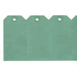 Labels 55x110mm groen 1000st Labels 55x110mm groen 1000st