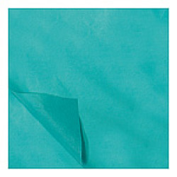 Zijdevloei vellen lichtblauw 50x70cm Tpk331510 Zijdevloei vellen lichtblauw 50x70cm Tpk331510