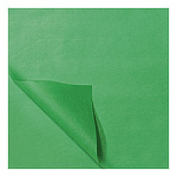 Zijdevloei vellen groen 50x70cm Tpk331516 Zijdevloei vellen groen 50x70cm Tpk331516