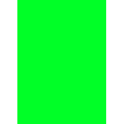 Prijskaart fluor groen 4x6cm 100st Td21349406 Prijskaart fluor groen 4x6cm 100st Td21349406